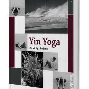 YIN YOGA - stræk dig til velvære vol. 1